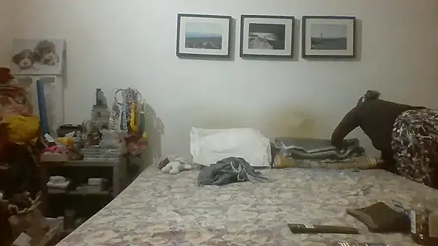Snapshot of brasiliana49 chatting on 16, 5, 2026 brasiliana49 online show from 16, 5, 2026