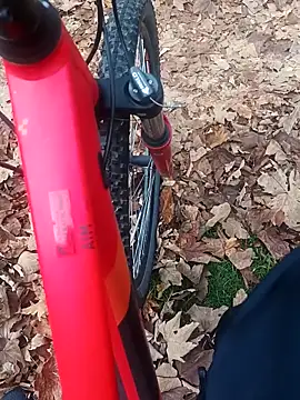 maleesa online show from 2, 11, 2025