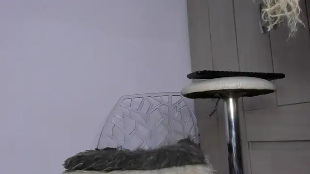 Kendall Hotsexy x online show from 20, 5, 2026