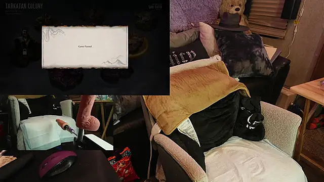 IndiaBlaze online show from 5, 11, 2025