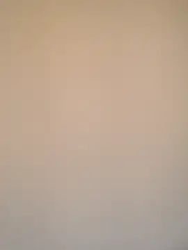 Armyexhibitionistvet online show from 21, 3, 2026