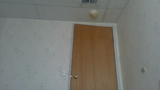 Armyexhibitionistvet online show from 8, 4, 2026