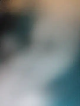 Armyexhibitionistvet online show from 13, 4, 2026