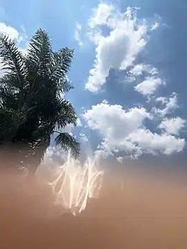 Snapshot of THEBUTTERNUT chatting on 6, 2, 2026 THEBUTTERNUT online show from 6, 2, 2026