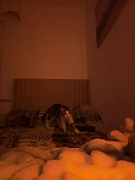 Sashabunny online show from 12, 2, 2026