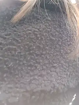 Violeta 12- online show from 18, 3, 2025