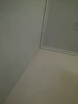 Snapshot of CieloTaylor chatting on 25, 2, 2026 CieloTaylor online show from 25, 2, 2026