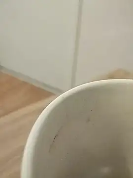 chalaHot online show from 10, 12, 2024