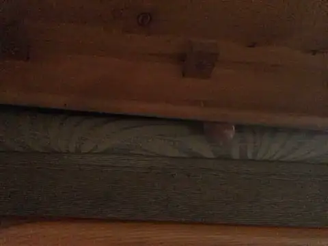 Dicksexhandjob online show from 21, 2, 2025