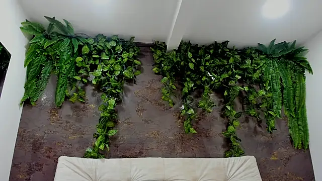 alice greco online show from 5, 1, 2026