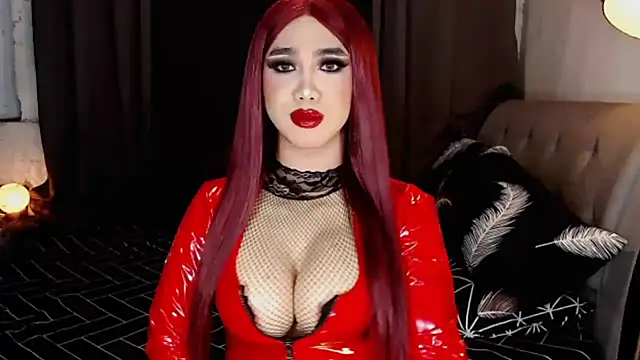 WildDelightt online show from 14, 11, 2025