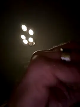 Shyboy817 online show from 7, 11, 2025