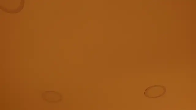 nakamura sam online show from 8, 4, 2026