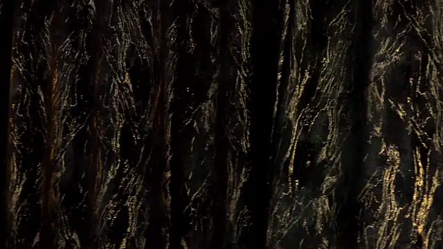 Snapshot of MiaCharm chatting on 24, 2, 2026 MiaCharm online show from 24, 2, 2026