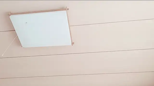 xxArisaxx online show from 10, 1, 2026