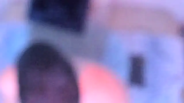 stillwild online show from 14, 12, 2025