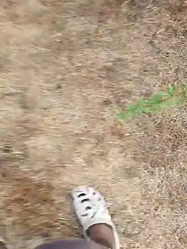 Ajith mvi online show from 16, 4, 2026