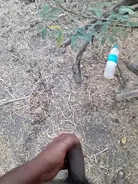 Ajith mvi online show from 17, 4, 2026