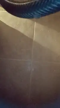 whitetrashdirtyslut online show from 4, 12, 2025