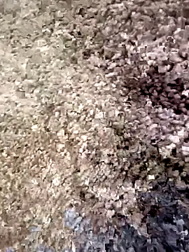 christian0009 online show from 18, 12, 2025