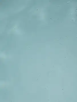 BigAssKi online show from 4, 10, 2025