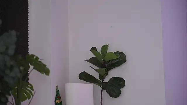 NicoleSarahX online show from 7, 2, 2025