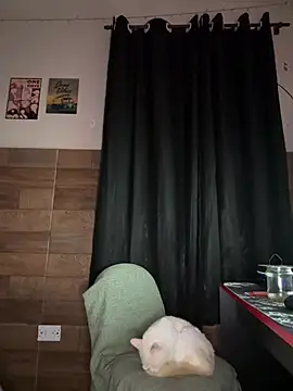 izumikarol online show from 11, 3, 2026