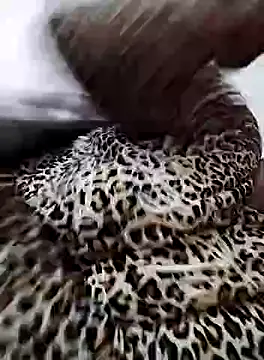 nayakaA7 online show from 5, 2, 2025