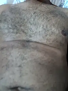 Sergipano fogozinho online show from 14, 3, 2025