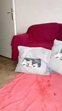 cricrimodele online show from 15, 12, 2024