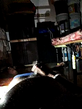 Snapshot of findmemylove chatting on 12, 2, 2025 findmemylove online show from 12, 2, 2025