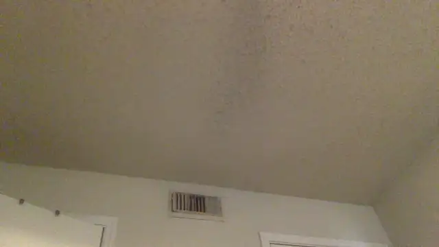 GForceSavage online show from 25, 2, 2026