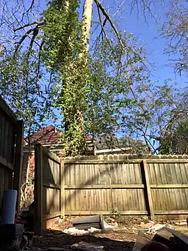 trash4cash online show from 28, 1, 2025