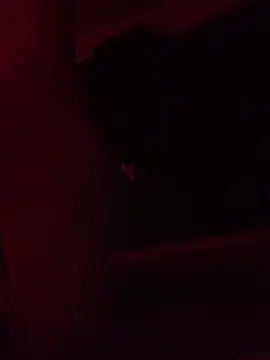 trash4cash online show from 9, 2, 2025