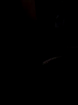 ySqmbVanbe online show from 13, 3, 2026