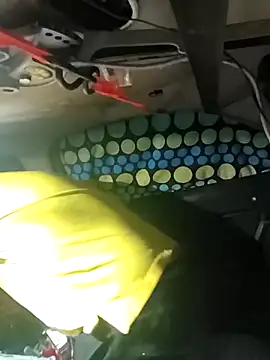 FloppyPickle4u online show from 6, 3, 2026