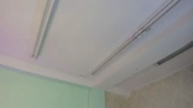 EvaaStevens online show from 5, 11, 2025