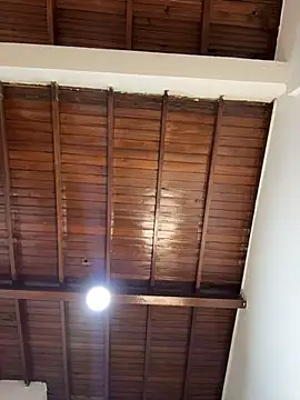 emiss  online show from 4, 2, 2026