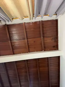 emiss  online show from 15, 3, 2026