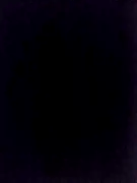 BongChannel online show from 1, 1, 2025