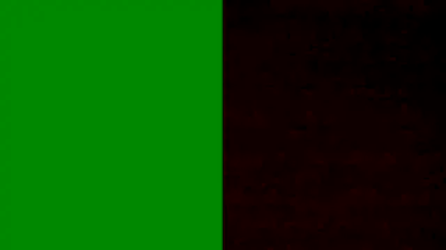 BongChannel online show from 5, 1, 2025