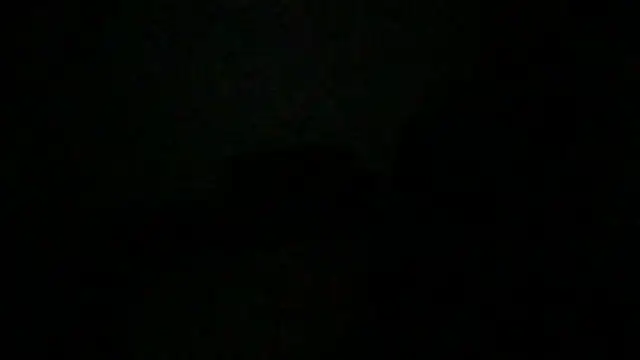 JunkieShitPig online show from 19, 11, 2025