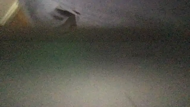 JunkieShitPig online show from 13, 3, 2026