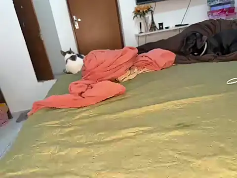 BRUALENC online show from 24, 2, 2026