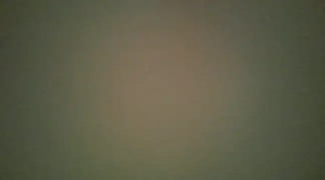 lovense test04 online show from 13, 3, 2025