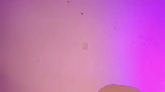 Tahira 21  online show from 22, 1, 2025