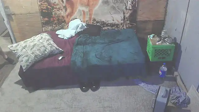 Smurfschmidt online show from 7, 1, 2025