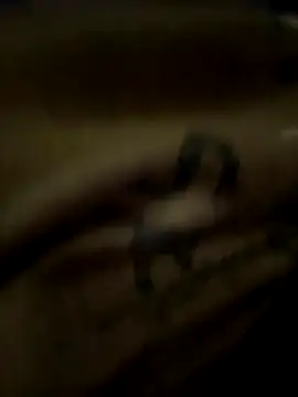 eveangelll online show from 21, 10, 2025