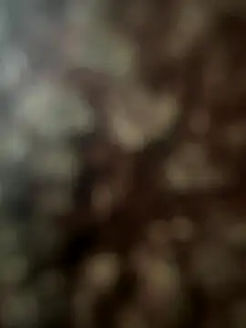 FrutenFratenR9 online show from 11, 11, 2025