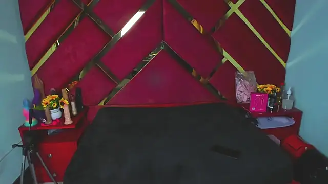 Snapshot of Sweet_Annyy chatting on 13, 2, 2026 Sweet Annyy online show from 13, 2, 2026